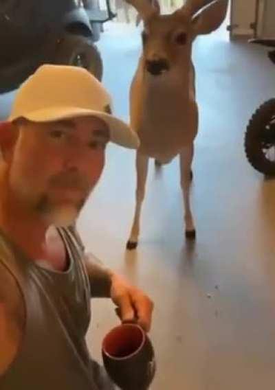 Coffee Is Delicious .