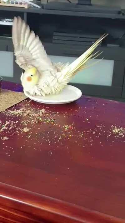 Moist Chicken Monday