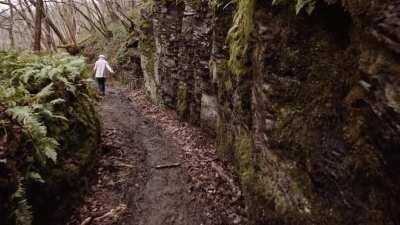 Weekend walk: Track 128 to Crupet (Wallonia) - route info in my comment.