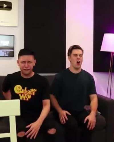 Tiny Meat Gang roast Matty’s house 🤣 (@1975stupidity on IG)