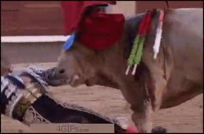 Becoming a bullfighter