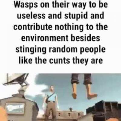 Fuck wasps