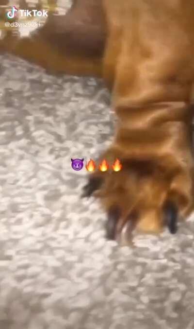 Simplemente facha😎🔥