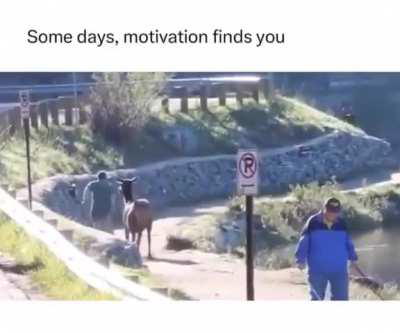 Let me tag along gentlemen.