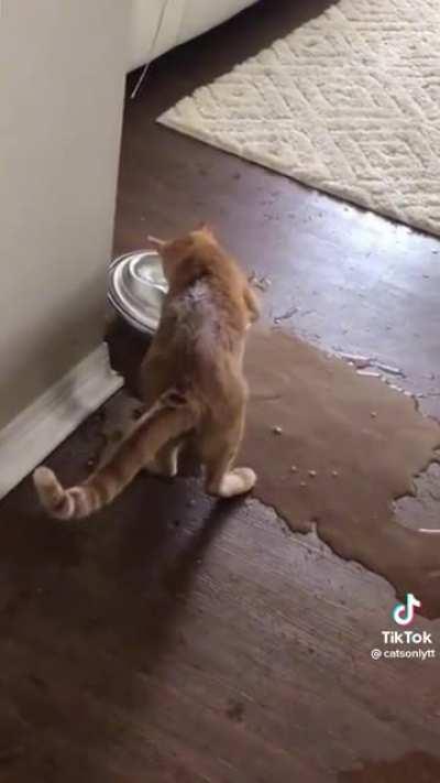 Need to get to the good water at the bottom