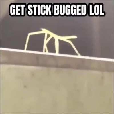 [Meme] I finally figured out the symbols in the Uncaged Vol. 9 cover art!