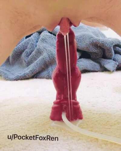 (FtM) Sliding off of dog dick and letting the mess pour out~ 🖤