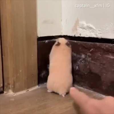 When you open up your fridge at 3AM and mom touches your back