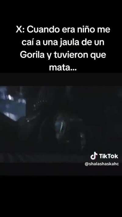 BeelcitosMemes - Video #6241