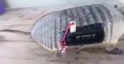 N posso te explicar mas espero que entenda