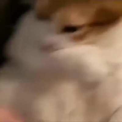 What’s the name of this anime pt2