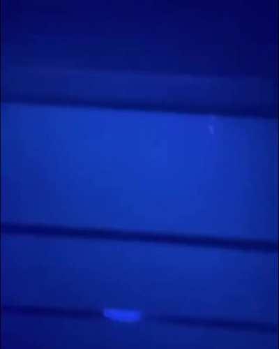 Feels like the right place for this one