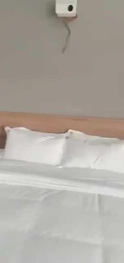 这样的酒店是为了方便补课学习吗🤔