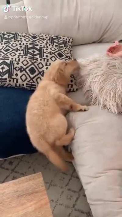 I’ve totally got this...maybe