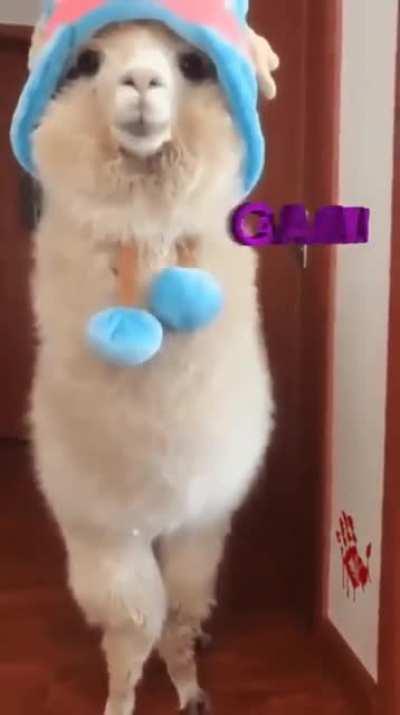 His hands, why are they missing?