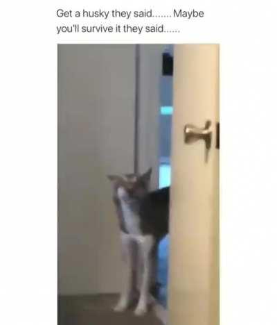 Talk about sassy🤣