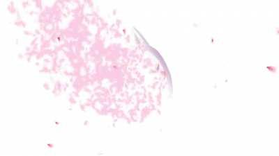 Yae Miko: Sakura and Aether Rain 🌸 - an edit I did in my break time (art:Hamelin)