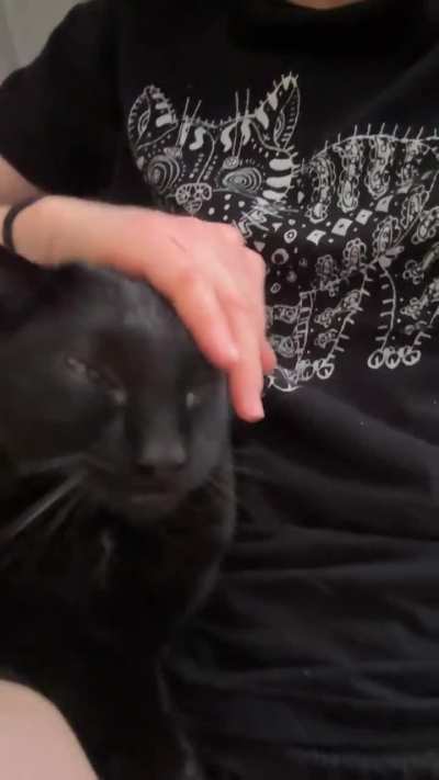 My perfect little boy has a squeaky motor (vet says he’s fine)