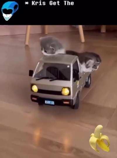 POTASSIUM!!!🍌🍌🍌