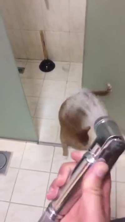 Budz gets the hose again.