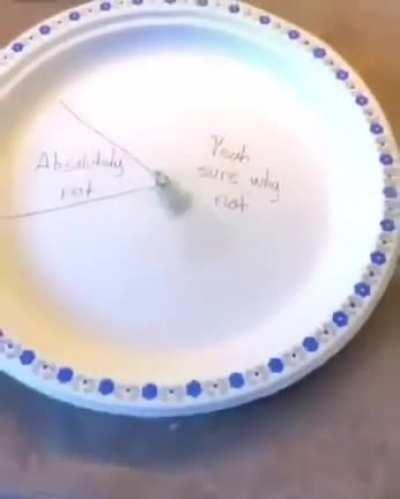 What are you gonna do?