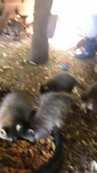 What heaven looks like for me.