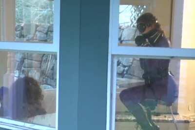 When you find out you have kinky neighbors