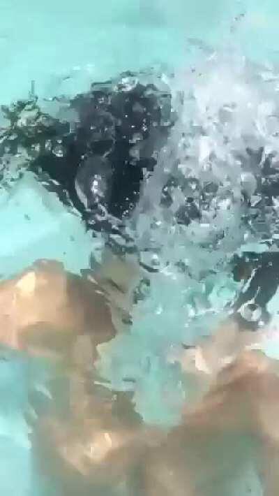 One last dip in the pool