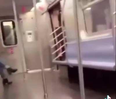 Seen a butterfly on a train !