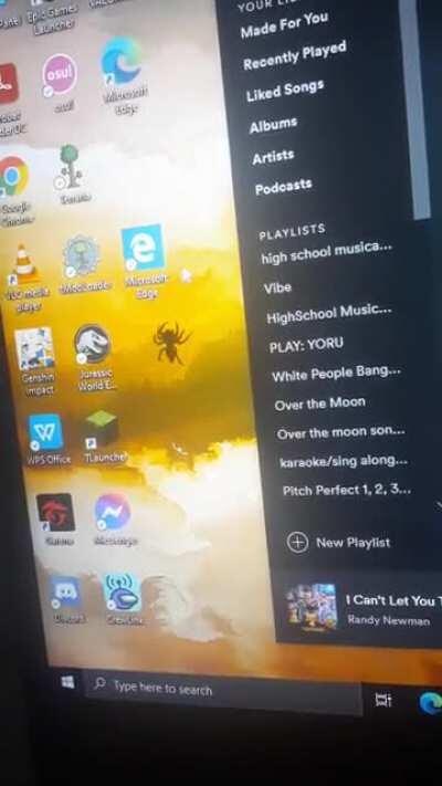 Cute spider landed on my screen