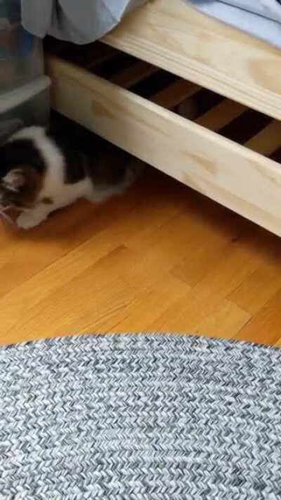 Exiting the dimension