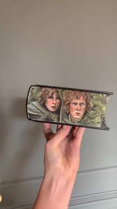 A beautiful art on an LOTR book