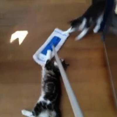 'We like to drive and clean the house too'