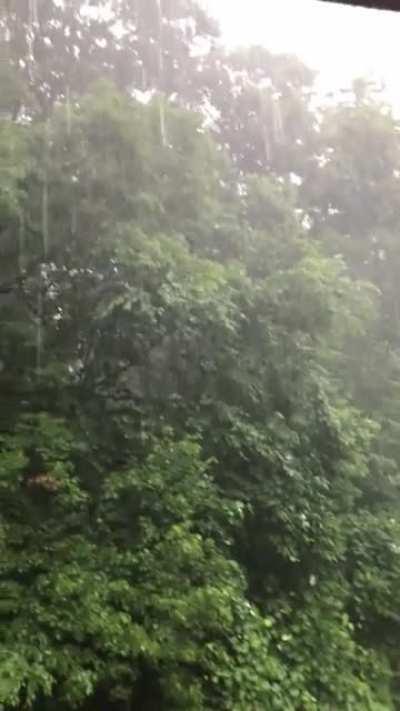 Raining backyard MA