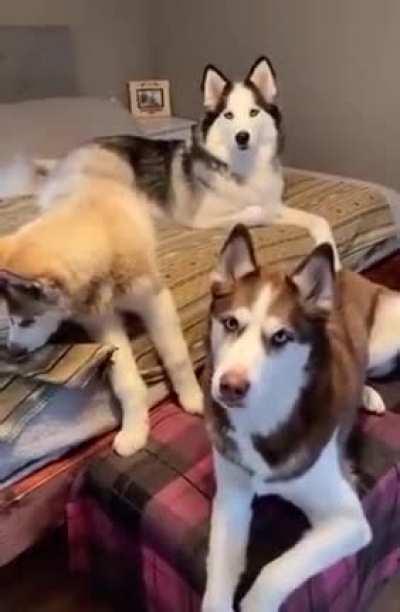 Alguem quer ir no parque?