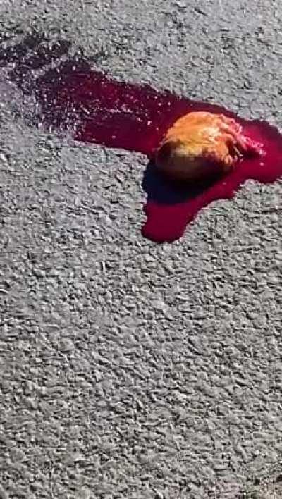 WARNING EXTREMELY GRAPHIC OC N Bergen, NJ 12/19/23. Lady gets wrecked by Semi. Heart explodes out of chest and still beating