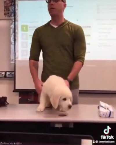 Perfectly cut scream