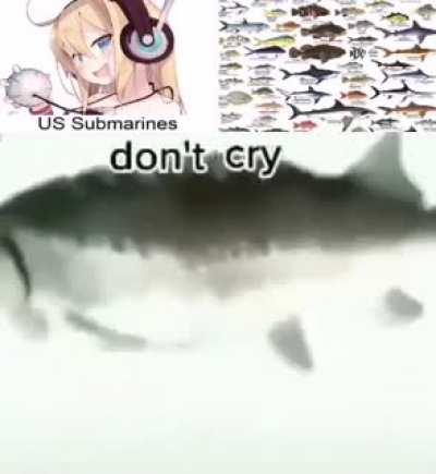 Took u/OPGames8 meme and enhanced it 👀 (full picture credit goes to u/Tommy-Atlantist)