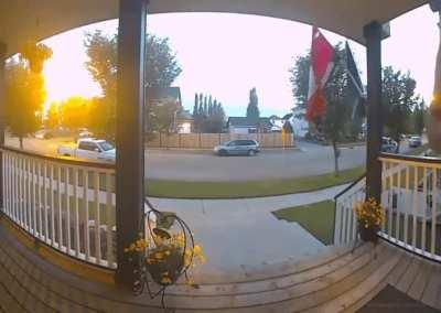 The most dangerous animal in the world