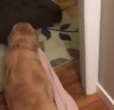 Need the blankie before bed