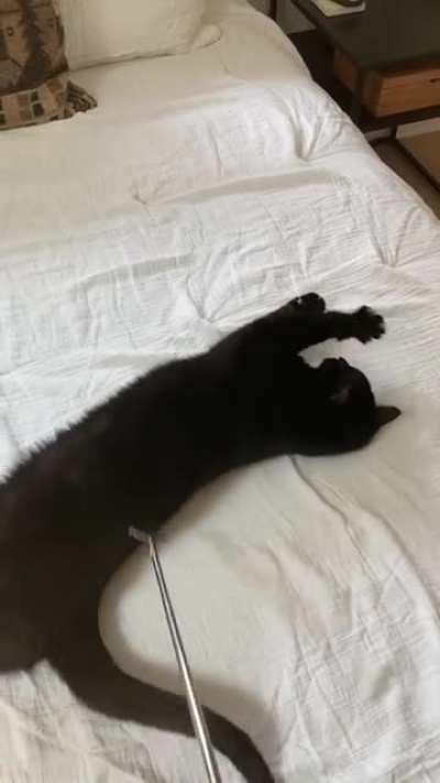 Zen Garden Belly Time vol. 2