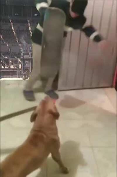 Gladiator Version: Don't help while firulais tries to kill me with a machete