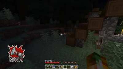 I had a nightmare in Minecraft