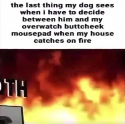 whenthe - Video #8255