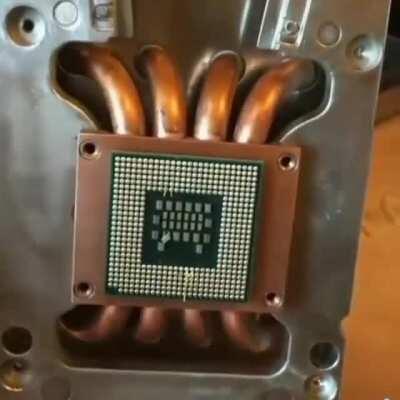 Lisa y llanamente un aweonao