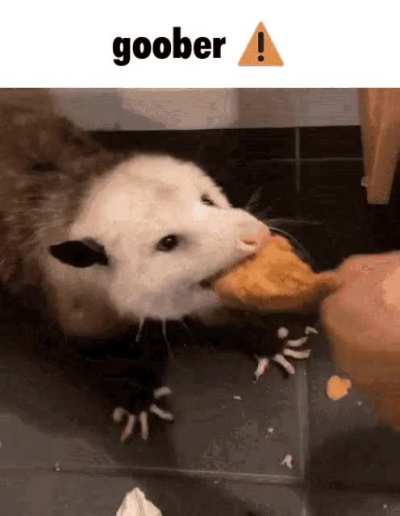 goober ⚠️