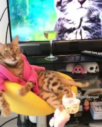 When the cat gets the inheritance