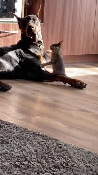 What is this small and why is it on me