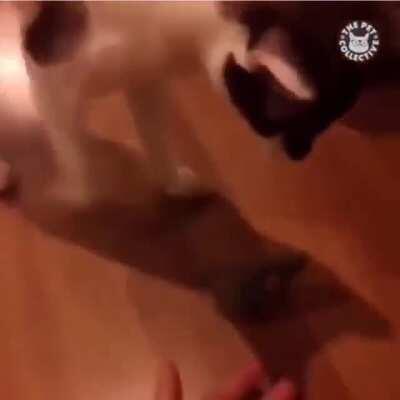 Miscalculated trajectory