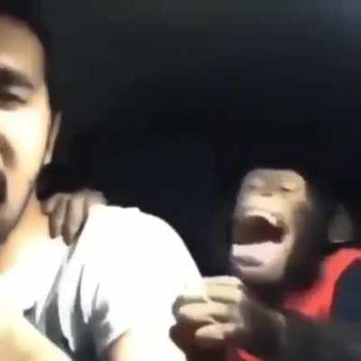 ooh ooh ahh ahh ohh ahh